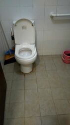 Blk 339D Kang Ching Road (Jurong West), HDB 3 Rooms #356277801